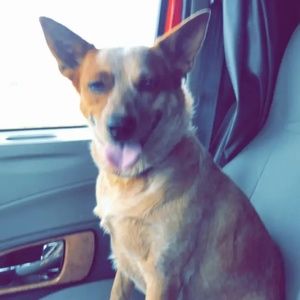 Meet your Posher, Shayla